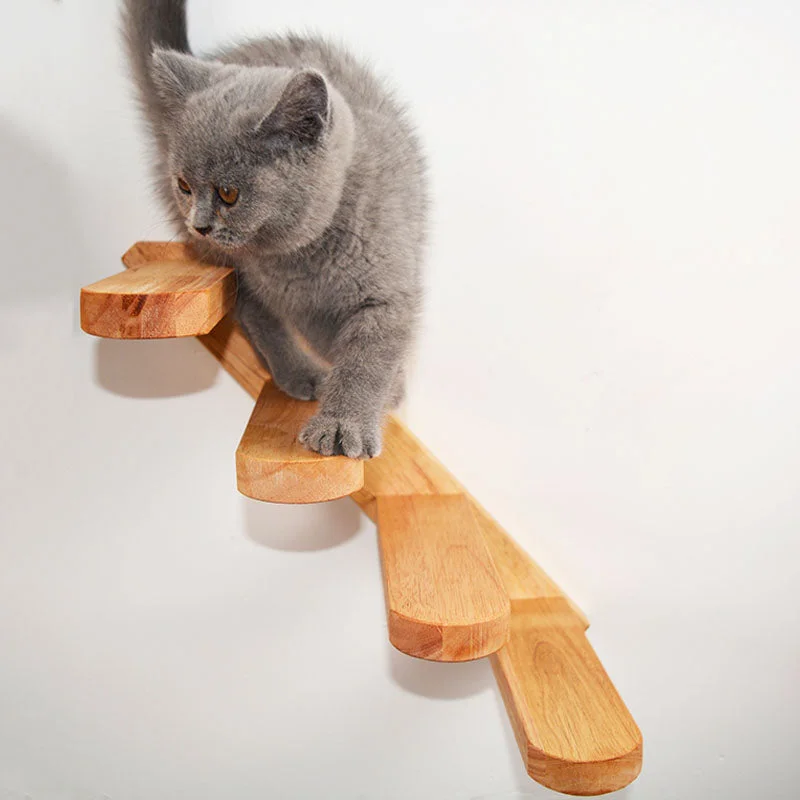 Cat Climbing Platform