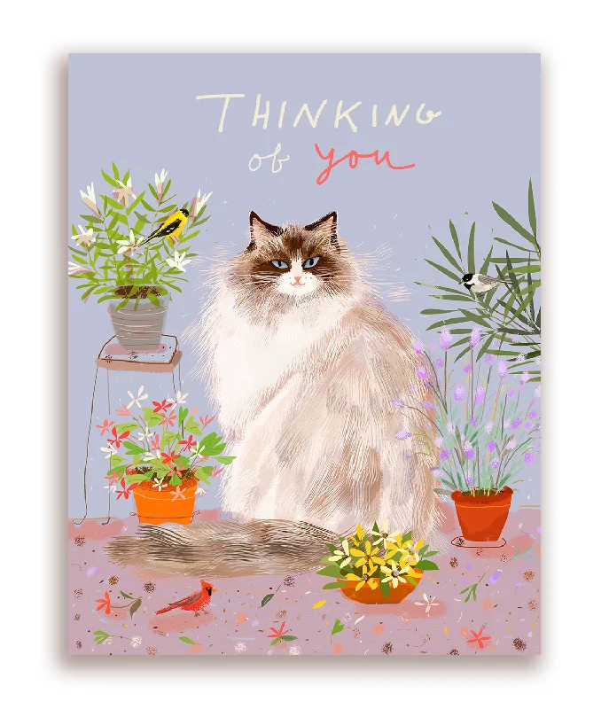 Thinking of You - Ragdoll Cat Card