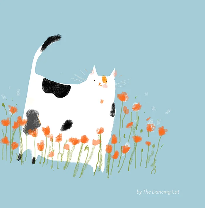 Miss Poppy - Cat Print