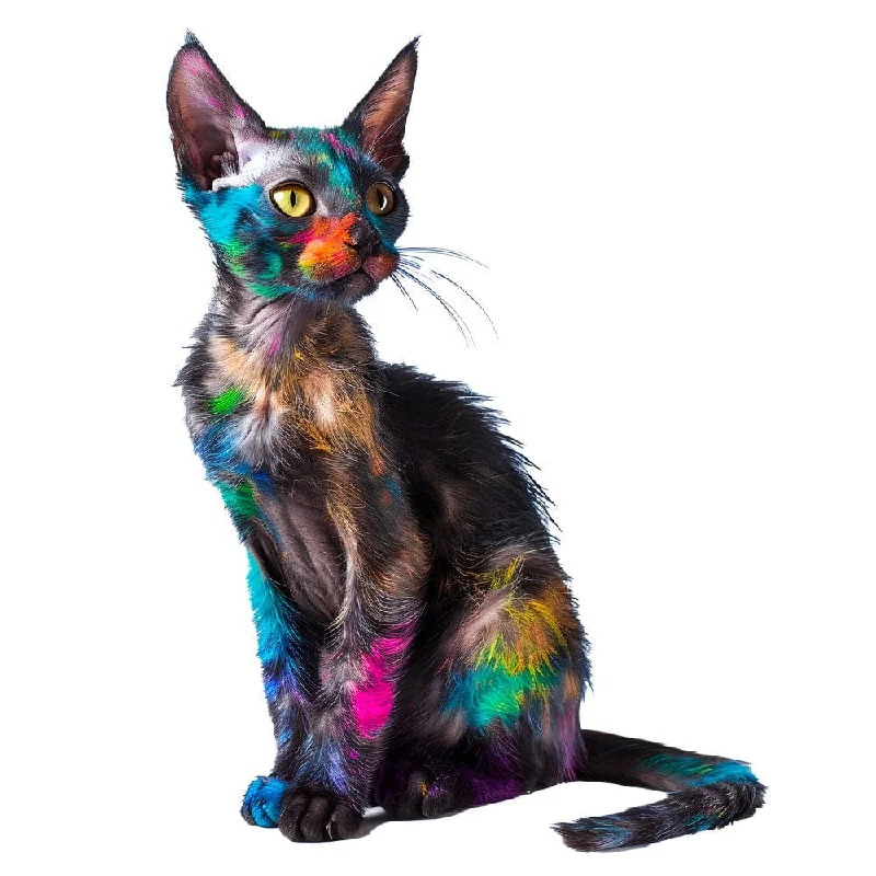 Lykoi Cat - Jigsaw Puzzle