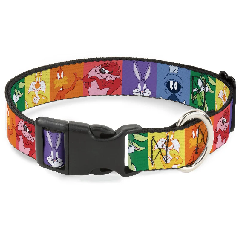 Plastic Clip Collar - Looney Tunes 6-Character Pose Pride Blocks Multi Color