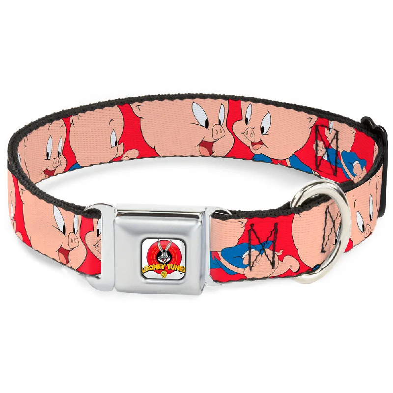 Looney Tunes Logo Full Color White Seatbelt Buckle Collar - Porky Pig Expressions Red