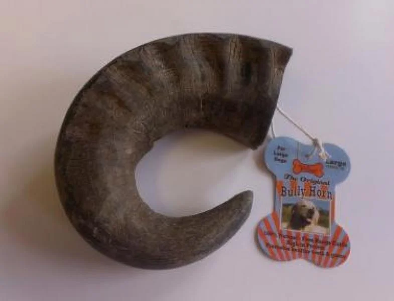 QT Water Buffalo Horn Large