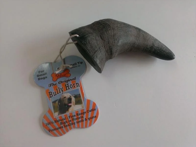 QT Water Buffalo Horn Small