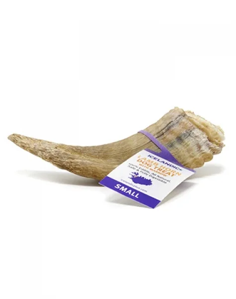 Icelandic Plus Lamb Horn Small