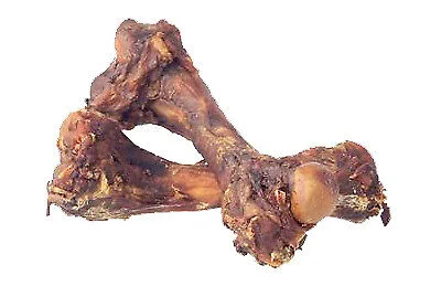 Pork Femur Bone