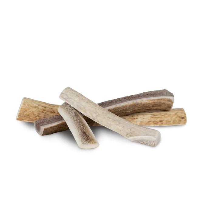 Primal Elk Antler Dog Chew