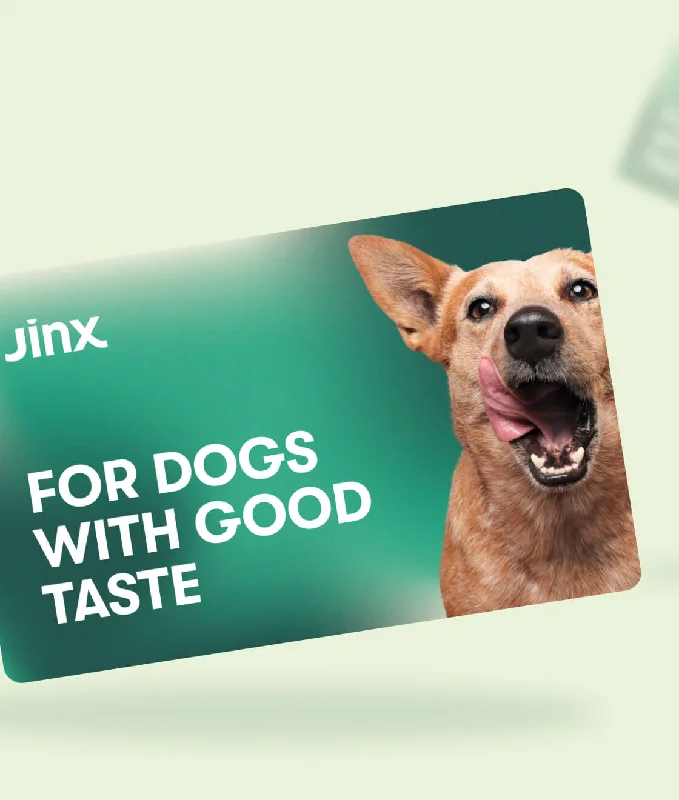 Jinx Gift Card (eGift Card)