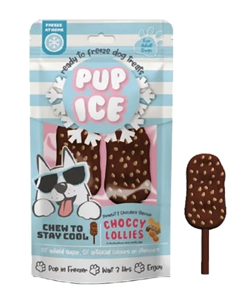 Pup Ice Choccy Lollies Peanut Butter & Chocolate 2-Pack