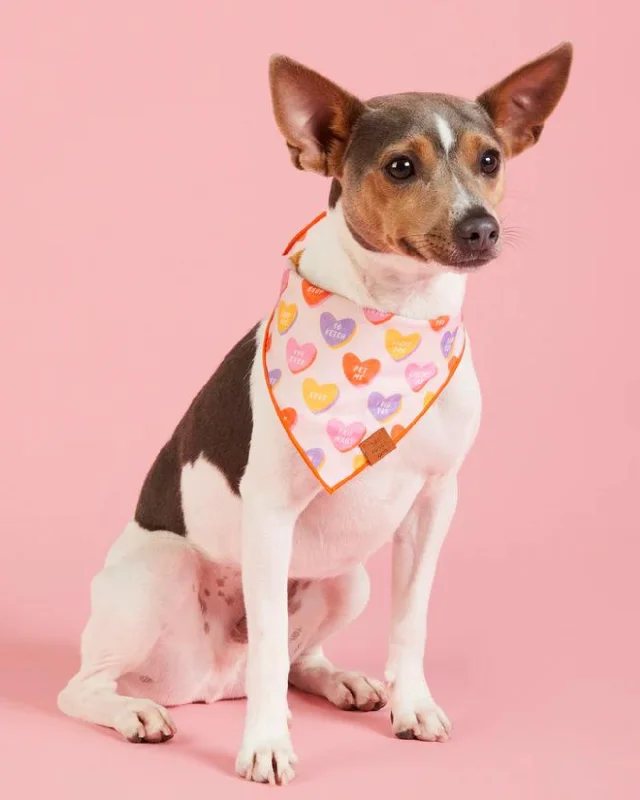 Candy Hearts Dog Bandana (Made in the USA) (FINAL SALE)