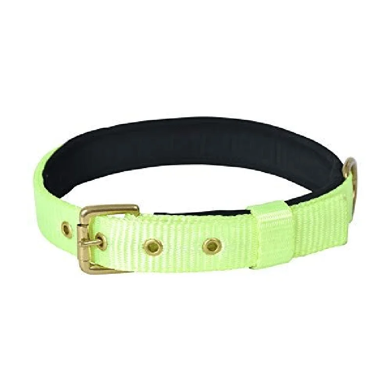 Glenand Petz Pure Nylon Padded Collar for Dogs (Light Green,3/4 inches)