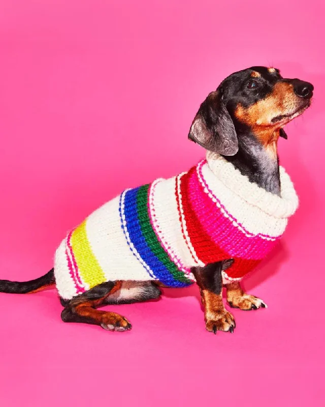 Neon Stripe Wool Dog Sweater (FINAL SALE)