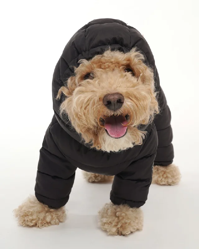 Padded Winter Coverall for Dogs w/ Hood