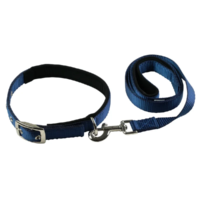 TopDog Premium Nylon Collar and Leash Set for Dogs (Blue)