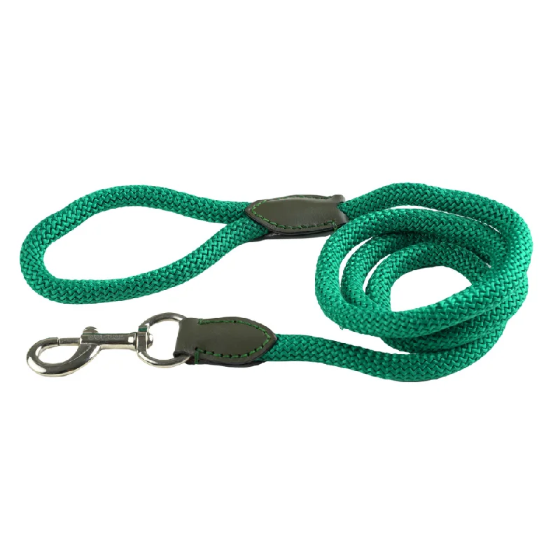 TopDog Premium Nylon Rope Leash for Dogs (Teal Green)