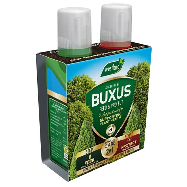 Westland Buxus Feed & Protect Concentrates 2 in 1 (2 x 500 ml)